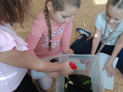 Staráme se o šneka 