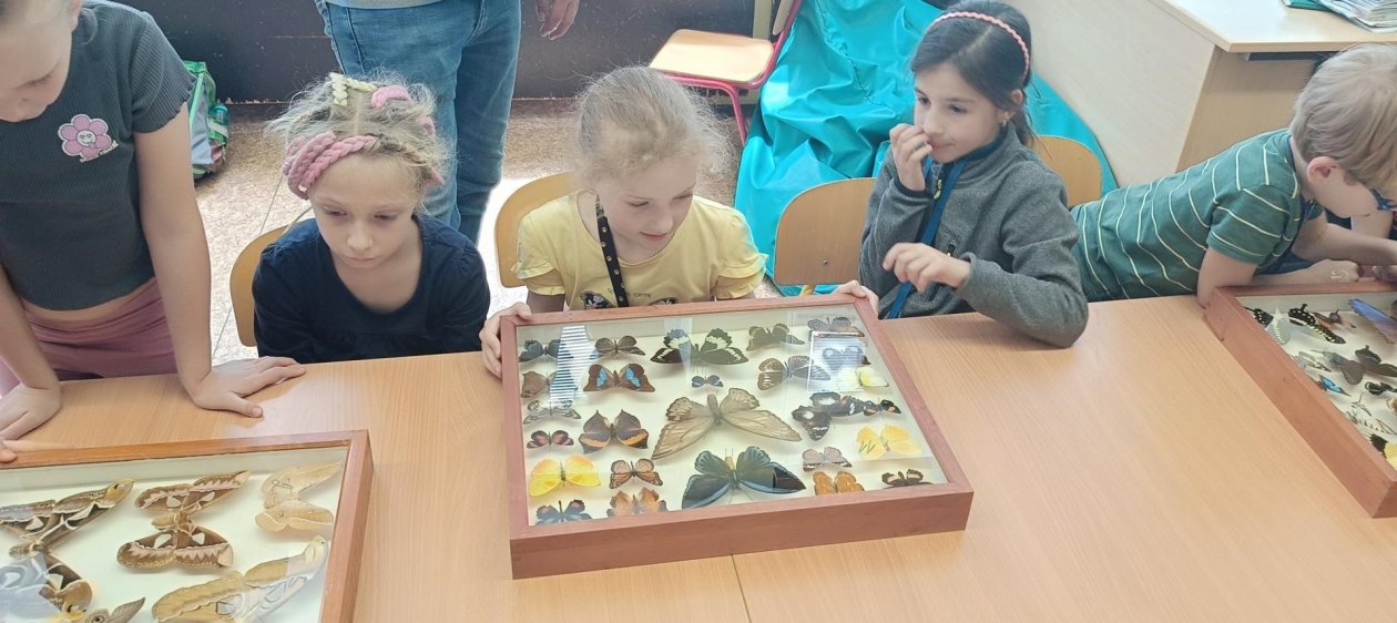 Motýli ve školní družině