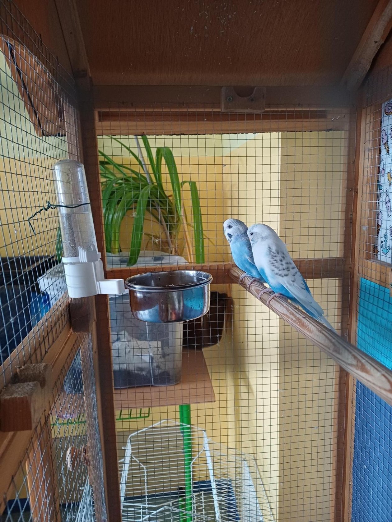 V naší školní družině to žije